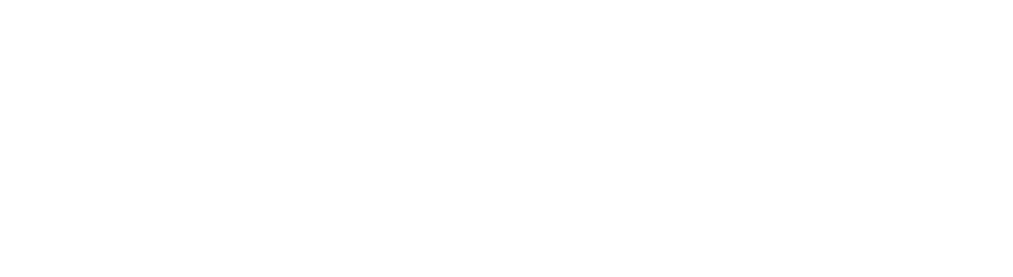 Ausgrid Logo all white.